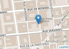 Solicitor Lyon Marie Elisabeth Authelain 69003 Lyon France